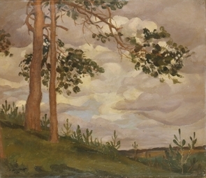 Сосновий підлісок Сосновий підлісок